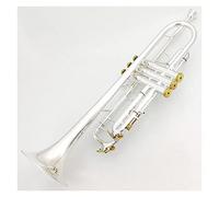 Tromba principianti BB Tromba Argento Placcato Gold Key Strumenti Musicali Profesional Trombe Accessori Bocchino Caso Incluso Tromba Professionale