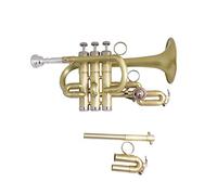 Tromba principianti BB Tromba Brush Finishes Brass Trombe Con Cassa Cassa Strumenti Musicali Trompete Pistoni In Acciaio Inox Tromba Professionale (Color : Brush finish)