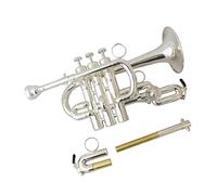 Tromba principianti BB Tromba Brush Finishes Brass Trombe Con Cassa Cassa Strumenti Musicali Trompete Pistoni In Acciaio Inox Tromba Professionale (Color : Silver plated)