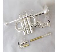 Tromba principianti BB Tromba Laccata Tromba In Ottone Con Cassa Cassa Strumenti Musicali Trompete Pistoni In Acciaio Inox Tromba Professionale (Color : Silver plated)