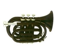 Tromba principianti Body Brass Body Cupronickel Valvole Tone BB Pocket Trumpet Tromba Professionale
