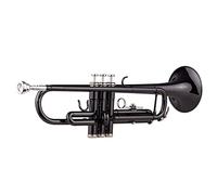 Tromba principianti Brass Placcato BB BB Tromba Set Per Studente Per Principianti Con Cinghie Con Custodia Rigida Guanti Da Bocchino Panno Di Lucidatura Tromba Professionale
