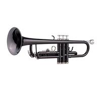 Tromba principianti Brass Placcato BB BB Tromba Set Per Studente Per Principianti Con Cinghie Con Custodia Rigida Guanti Da Bocchino Panno Di Lucidatura Tromba Professionale