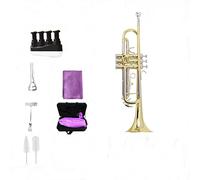 Tromba principianti Bronzo In Ottone B-flat Brass Bronzo Adatto Per Prestazioni Del Palcoscenico Tromba Professionale (Color : 3/4)