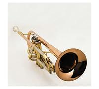 Tromba principianti Corpo Del Tubo Del Bronzo Del Fosforo Per Lo Strumento Di Tromba In B Tromba Professionale