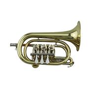 Tromba principianti Corpo In Ottone Laccato Body B-flat B-flat Brass Strument Vento Valvola Rotante Tromba Palm Horn Cornet Tromba Professionale