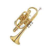 Tromba Principianti Esame Di Prestazione Professionale Per Tromba In Si Bemolle D'oro Strumento Verticale