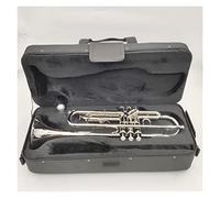 Tromba principianti Golden Silver B Strumento di vento piatto in ottone piatto adatto per principianti per praticare bande e trombe professionali trombe Tromba Professionale (Color : Silver)