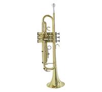 Tromba principianti La Tromba B-Flat È Adatta Per I Principianti Per Giocare A Tre-Tone Trumpet Golden Test Per Adulti E Bambini Tromba Professionale (Color : 3/4)