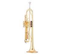 Tromba principianti La Tromba B-flat È Adatta Per I Principianti Per Riprodurre L'oro A Banda D'esame Tromba Professionale