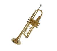 Tromba Principianti La Tromba Intagliata In Si Bemolle È Adatta Sia Ai Principianti Che Ai Professionisti Degli Ottoni