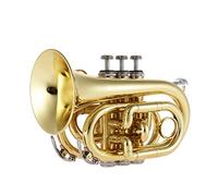 Tromba principianti Mini Pocket Trumpet BB BB Strumento Di Vento In Ottone Piatto Con Guanti Del Boccaglio Custodia Per Il Trasporto Del Panno Di Pulizia Tromba Professionale