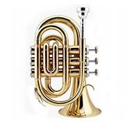 Tromba principianti Mini Pocket Trumpet BB BB Strumento Di Vento In Ottone Piatto Con Guanti Del Boccaglio Custodia Per Il Trasporto Del Panno Di Pulizia Tromba Professionale
