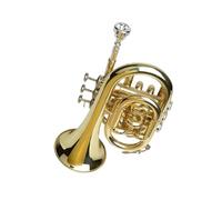 Tromba Principianti Mini Tromba In Ottone Laccata Oro Con Accordatura BB Stile Professionale