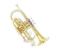 Tromba Principianti Mini Tromba In Ottone Sib Laccata Oro Con Cinghia Per Bocchino E Set Di Pulizia Per Principianti E Musicisti