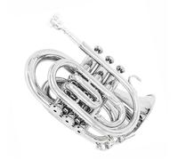 Tromba Principianti Mini Tromba In Sib Con Corpo Piatto In Ottone Strumento Con Bocchino Guanti Panno Per La Pulizia E Custodia Per Il Trasporto