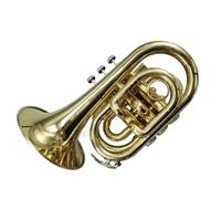 Tromba Principianti Mini Tromba In Sib Strumento In Ottone Con Bocchino Guanto E Panno Per La Pulizia Scatola