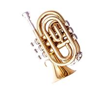 Tromba Principianti Mini Tromba Palmare A Tre Note In Si Bemolle Esame Di Esecuzione Per Principianti Insegnamento Professionale In Banda