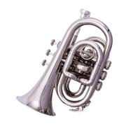 Tromba Principianti Mini Tromba Professionale A Tre Toni In Si Bemolle Adatta A Principianti E Insegnanti Di Banda.