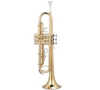 Tromba principianti Ottone Laccato Oro Principiante Si Bemolle Contralto Per Iniziare Strumento A Tromba Per Orchestra Tromba Professionale