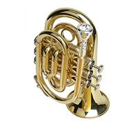 Tromba principianti Piccolo Strumento Musicale Palm Trumpet B Trumba Tascabile Tromba Professionale