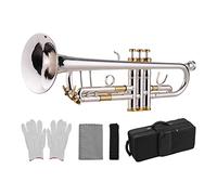 Tromba principianti Prefessionale BB Tromba Materiale In Ottone Argento Placcato Strumento Di Vento In Argento Strumento Con Borsetta Guanti Guanti Panno Per La Pulizia Tromba Professionale