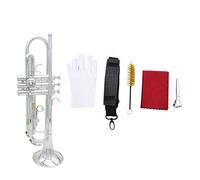 Tromba principianti Squisita Tromba BB B Tromba Piatta Brass Con Bocchino Pennello Per La Spazzola Guanti Di Stoffa Strumenti In Ottone Tromba Professionale (Color : Silver)
