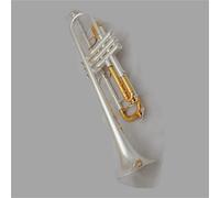 Tromba Principianti Strumento A Tromba Sib Placcato Argento Per Principianti Include Custodia E Bocchino.