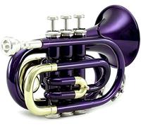 Tromba principianti Strumento Del Vento Di Tone Tone Tone Tone Tone Pocket Pocket BB BB Tromba Professionale (Color : Plum)