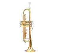 Tromba principianti Strumento Di Tromba In Ottone Fosforo In BR Strumento In Ottone Oro Laccato Tromba Piatto Per Principianti Tromba Professionale (Color : A)