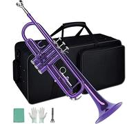 Tromba principianti Strumento Di Tromba Standard BB Di Ottone Per Principiante Dello Studente Tromba Professionale (Color : Purple)