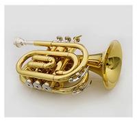 Tromba principianti Strumento Musical Palm Number/Regalo Number B Strumento Musicale Tromba Piatto Tromba Professionale