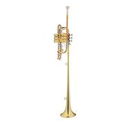 Tromba principianti Strumento Musicale Del Corno Cerimoniale B Versione Estesa Della Banda Militare Tromba Tromba Professionale