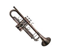 Tromba Principianti Strumento Professionale In Si Bemolle In Ottone Anticato Con Custodia E Accessori Per Bocchino