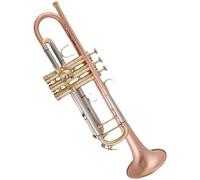 Tromba Principianti Strumento Professionale Per Tromba In Si Bemolle A Tre Colori Campana In Bronzo Fosforoso Spazzolato(Phosphor Bronze)