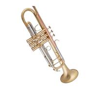 Tromba Principianti Strumento Professionale Per Tromba In Si Bemolle A Tre Colori Campana In Bronzo Fosforoso Spazzolato(Brass)