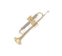 Tromba Principianti Strumento Tromba A Tre Note In Si Bemolle Livello Di Esecuzione Professionale Per Principianti