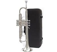 Tromba principianti Strumento Tromba A Tre Toni, Bugle, B, Adatto Per Principianti, Giovani Pionieri E Team Di Corno Di Tamburo Professionale Tromba Professionale (Color : 2)