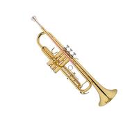Tromba Principianti Strumento Tromba In Si Bemolle Canna Da Soffio In Bronzo Fosforoso Per Prestazioni Professionali