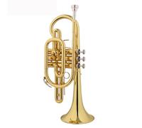 Tromba Principianti Strumento Tromba In Si Bemolle Chiave Piatta Chiave Verticale Test Di Prestazione Professionale(Vertical key)