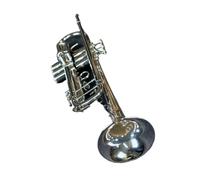 Tromba Principianti Strumento Tromba In Sib Tubo In Ottone Finitura Argentata Con Bocchino In Scatola