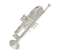 Tromba Principianti Strumento Tromba Professionale Placcato Argento Tipo B Con Custodia