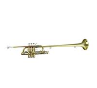 Tromba principianti Tono Laccato Oro BB BB Brass Body Cupronickel Tuning Tubo/Pistone Gold Tubo Di Piombo In Ottone Tromba Professionale