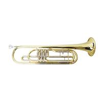 Tromba principianti Tromba Basso Si Bemolle A Tre Tasti Piatti Valvola Rotante Laccato Oro Tromba Professionale