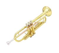 Tromba principianti Tromba BB B Brass Brass Tromba Phosphor Rame Con Bocchino Pennello Per Spazzole Guanti Guanti Tromba Professionale