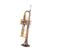 Tromba Principianti Tromba Di Livello Professionale In Bronzo Antico | Strumento in chiave Sib con custodia
