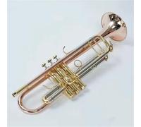 Tromba Principianti Tromba In Ottone In Si Per Principianti E Studenti D'esame Oro Fosforo Bronzo(Phosphor Bronze)