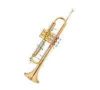 Tromba Principianti Tromba In Si Bemolle Con Bocchino In Bronzo Fosforoso Strumento Professionale In Ottone