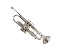 Tromba Principianti Tromba In Si Bemolle In Ottone Nichelato Strumento A Fiato Laccato Oro Per Test Di Prestazione Professionale(Silver)