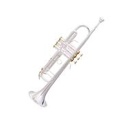 Tromba Principianti Tromba In Si Bemolle Placcata In Argento Per Esami Di Banda Esibizione Professionale